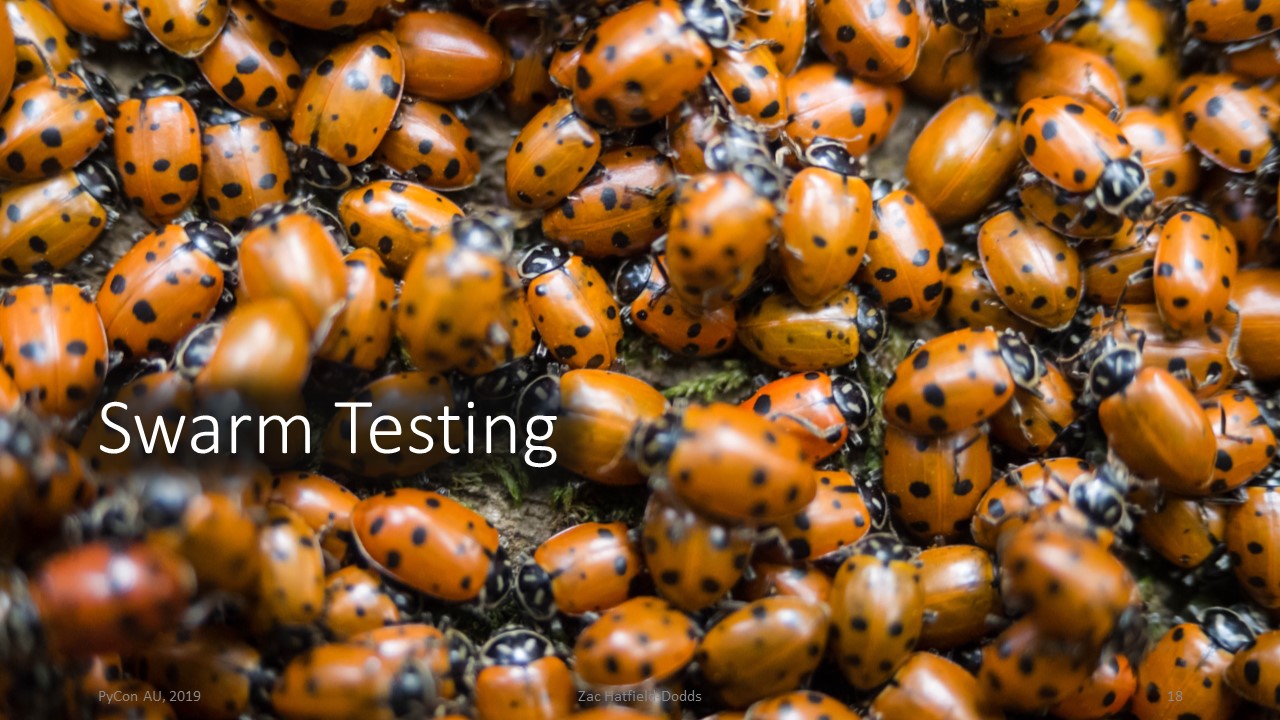 A swarm of cute ladybugs, labelled 'swarm testing'