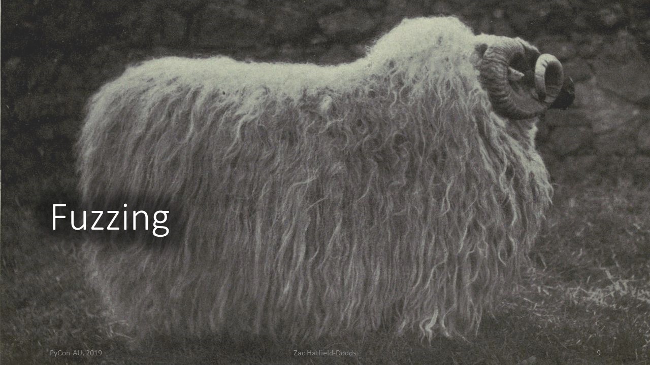 A fuzzy sheep and the word 'Fuzzing'